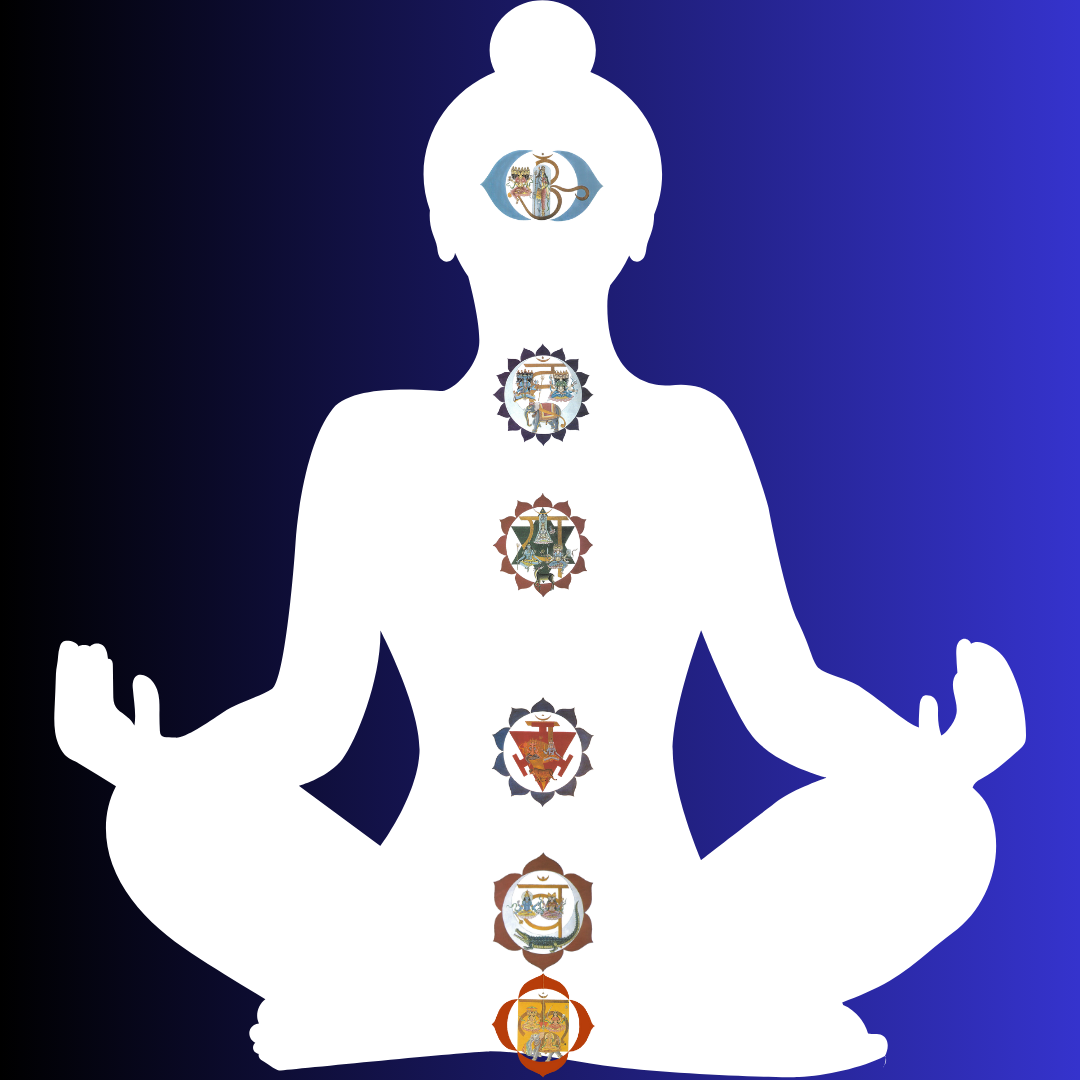 Formation professeur de yoga - PURNATA YOGA