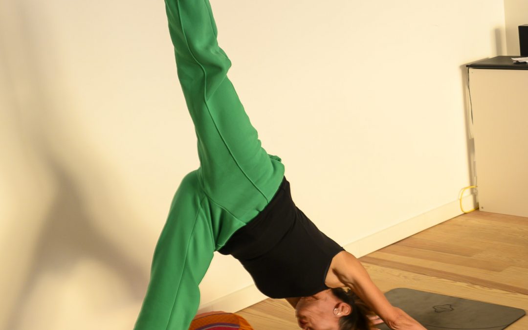 Formation Professeur Vinyasa Yoga Eté 2026